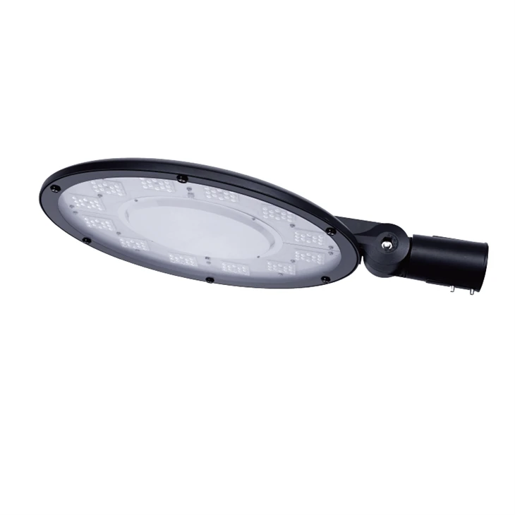 100W LED-Gartenleuchte