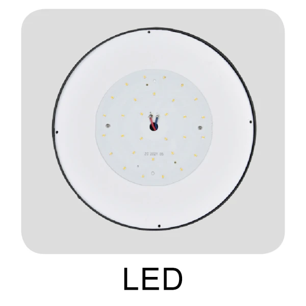 Best Solar Garden Lights